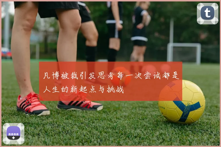 凡博被裁引发思考每一次尝试都是人生的新起点与挑战