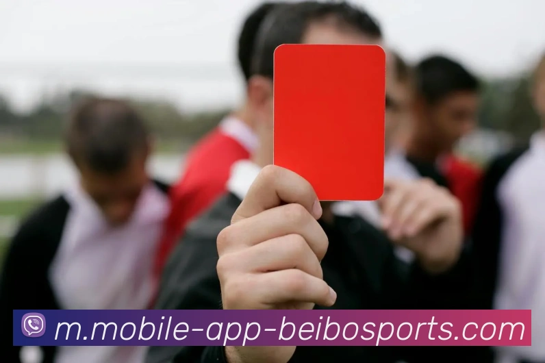 App Interface Preview