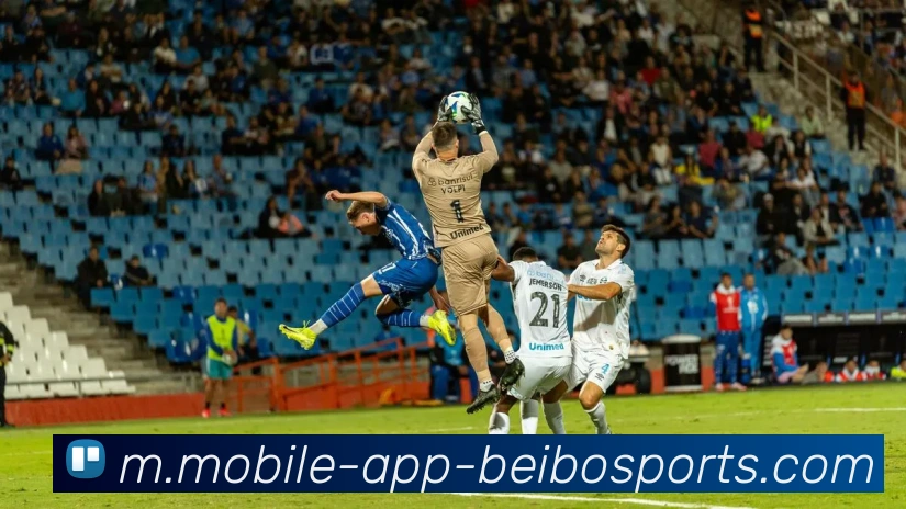 贝博体育APP 封面图